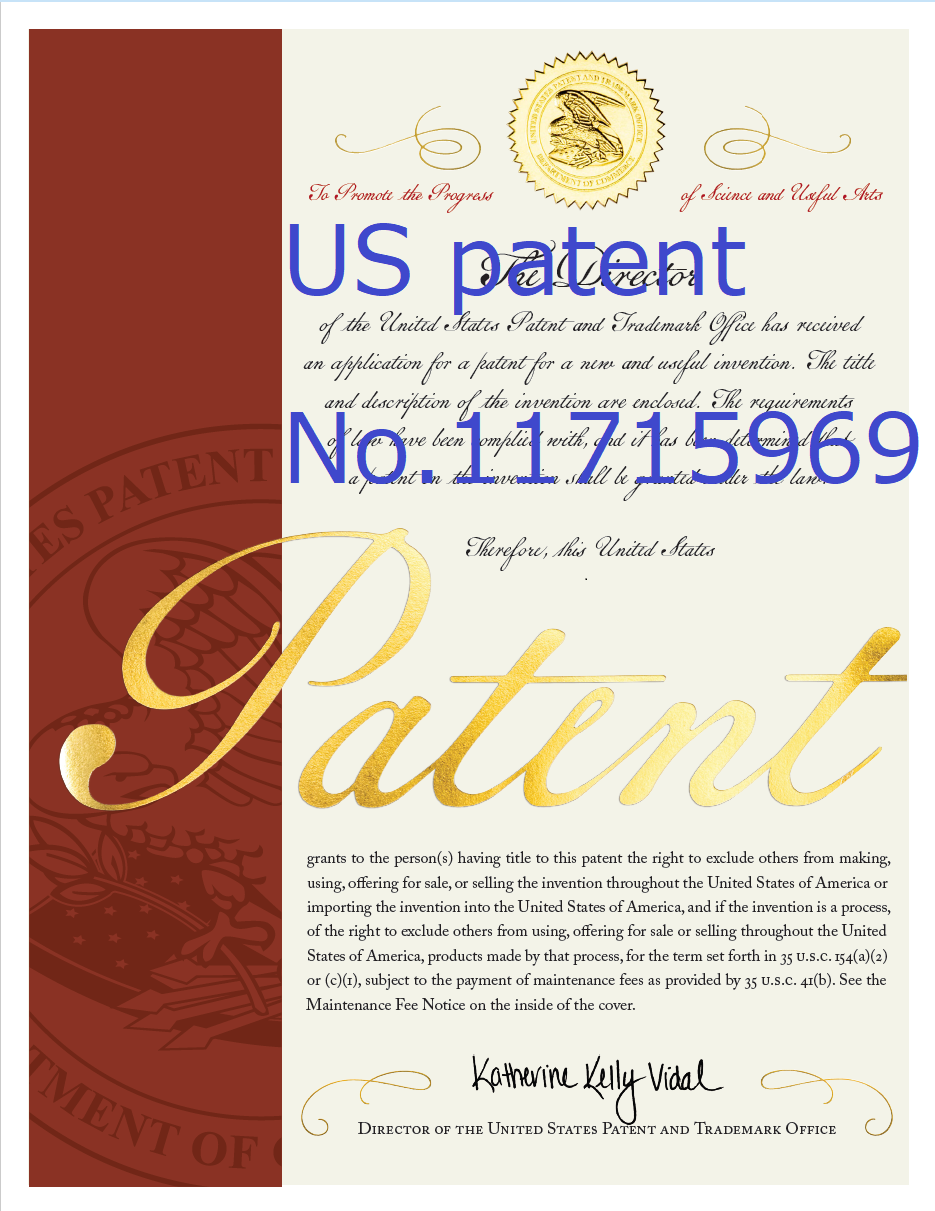 US Patent No11715969